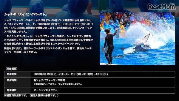 「スイミングバースト」概要