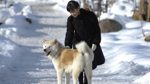 『スノープリンス 禁じられた恋のメロディ』 -(C) 2009 映画「スノープリンス」製作委員会