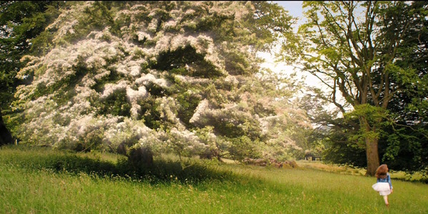 『フラワーショウ！』 (C)2014 Crow’s Nest Productions