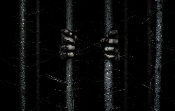 『ザ・ウッズ』　ｰ(C)2016 Lions Gate Films Inc.  All Rights Reserved.