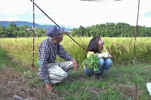 『ツケモノの子』