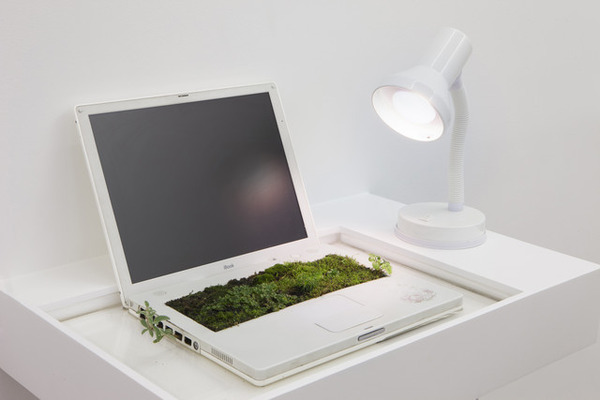 IBookgarden |2014 ラップトップコンピュータ、水、植物、土、棚、卓上ランプ、昼光色の電球|42 x 65 x 44 cmLaptop, water, plants, earth, shelf, desktop lamp with daylight bulb |42 x 65 x 44 cm Photo: Dorine Potel, Courtesy of the artist and ART : CONCEPT, Paris