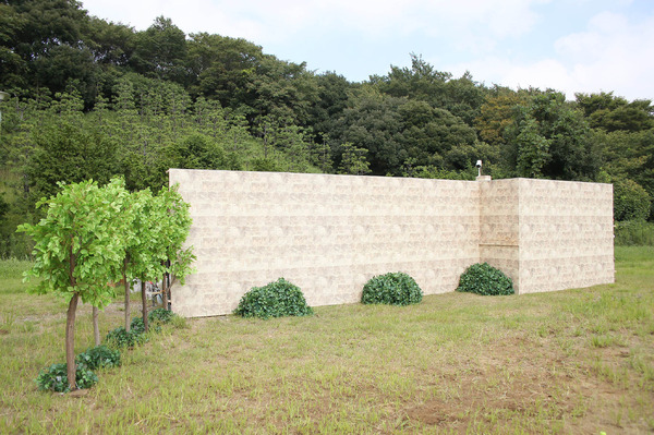 「嵐にしやがれ」(C)NTV