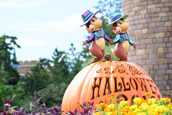 「ディズニー・ハロウィーン」