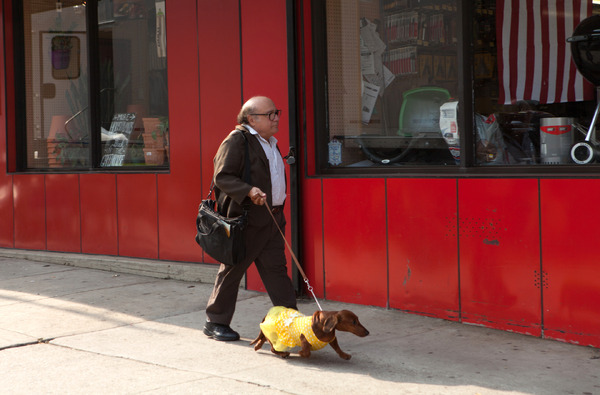 『トッド・ソロンズの子犬物語』(C)2015WHIFFLE BALLER,LLC.ALL RIGHTS RESERVED.