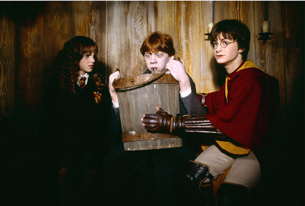 『ハリー・ポッターと秘密の部屋』TM &  (C) 2002 Warner Bros. Ent. , Harry Potter Publishing Rights (C) J.K.R.