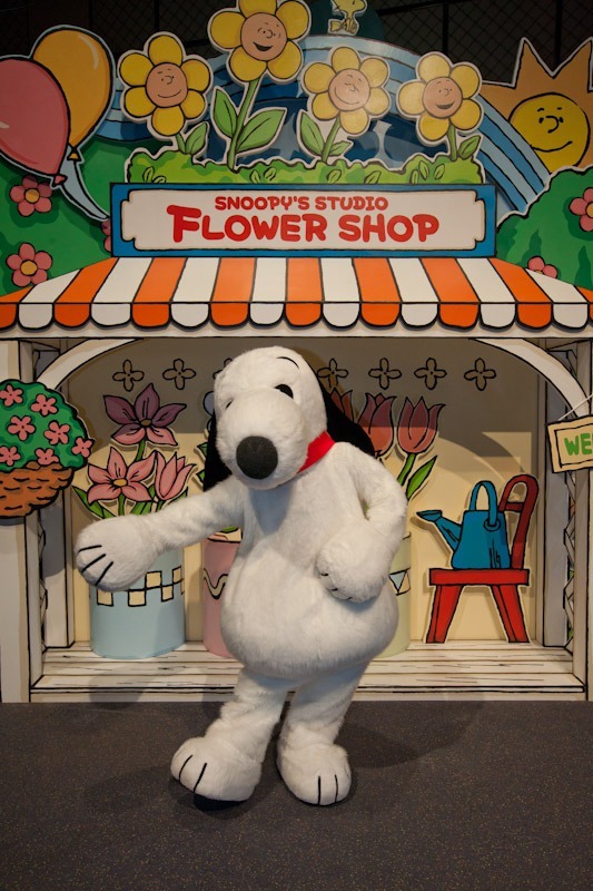 AKB48とコラボするユニバーサル・スタジオ・ジャパン／写真提供：テレビ朝日