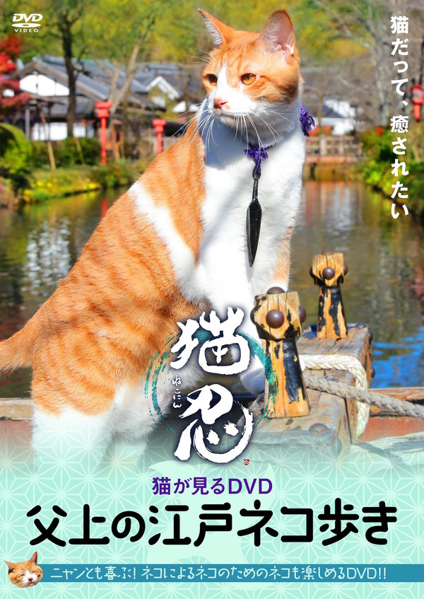 「猫忍 猫が見るDVD 父上の江戸ネコ歩き」発売・販売：AMGエンタテインメント