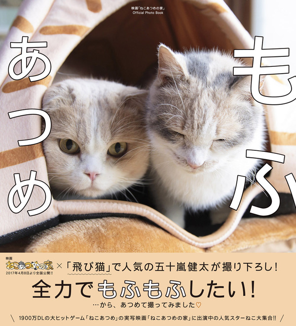 写真集「もふあつめ」～映画「ねこあつめの家」Official Photo Book～