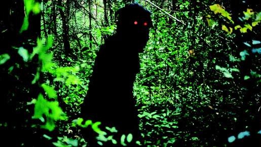 『Uncle Boonmee Who Can Recall His Past Lives』