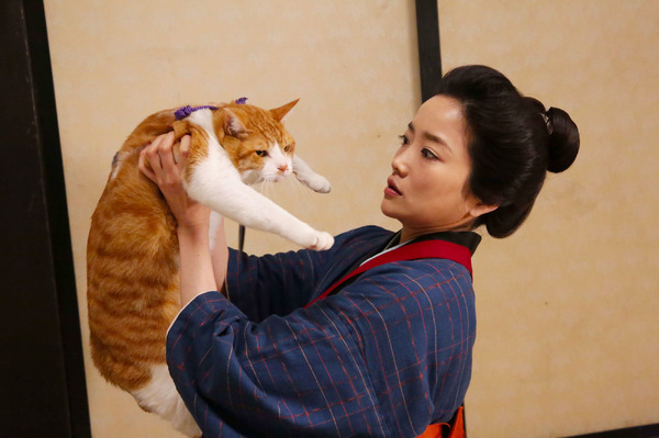 『猫忍』　(C)2017「猫忍」製作委員会