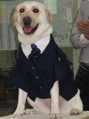 『きな子〜見習い警察犬の物語〜』夏の非行防止キャンペーンイベント　photo：Yoko Saito