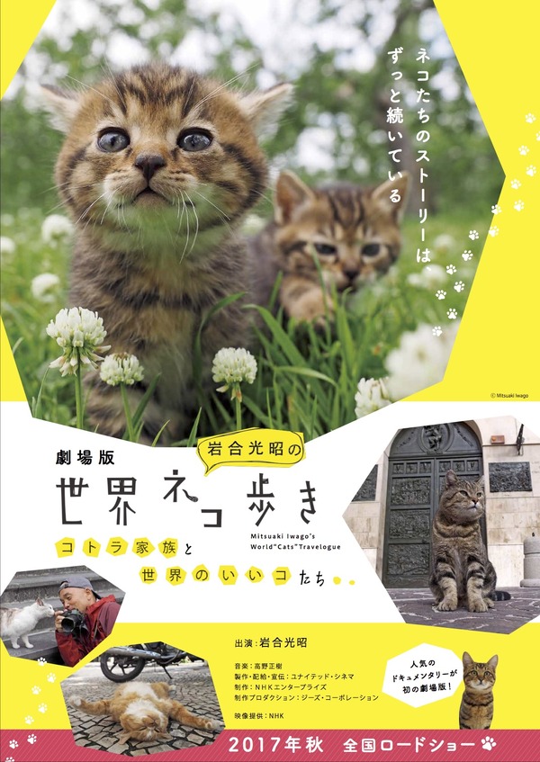 『劇場版 岩合光昭の世界ネコ歩き コトラ家族と世界のいいコたち』　（C）Mitsuaki Iwago