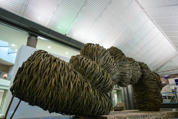 ジョコ・アヴィアント《善と悪の境界はひどく縮れている》ヨコハマトリエンナーレ2017展示風景撮影：田中雄一郎