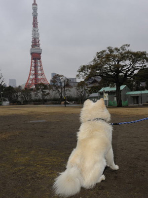 観光名所巡るわさお