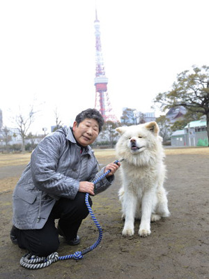 観光名所巡るわさお