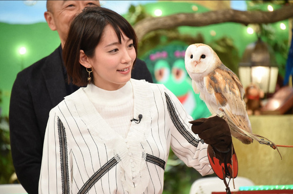 「新どうぶつ奇想天外！～さかなクン自慢の珍魚に吉岡里帆も絶賛！動物の特殊能力SP」-(C)TBS