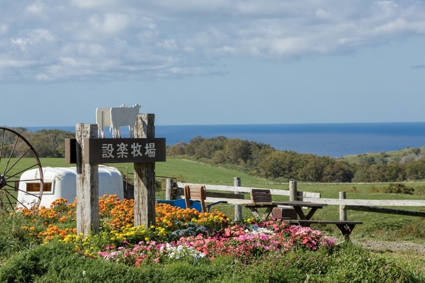 ロケ地となった海の見える牧場の実風景