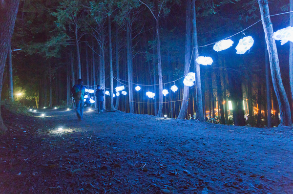 夜空と交差する森の映画祭