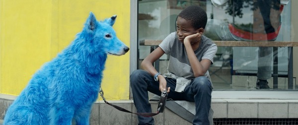 『青い犬』