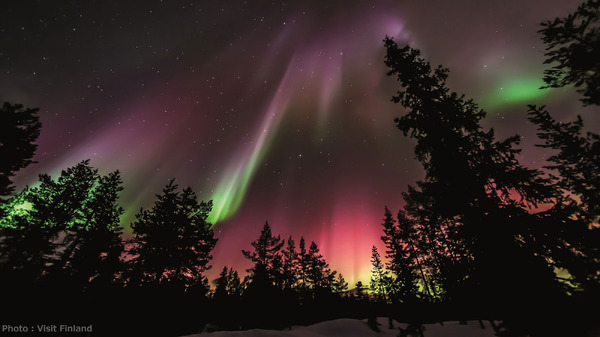 フィンランドの幻想的な絶景が“あなたの心”を動かす──冬の名曲「雪の華」が描く“最後の恋”に涙。