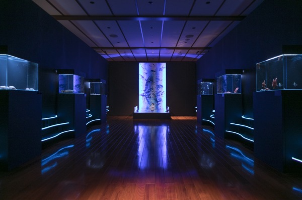 「海の幽霊」MV海の上映会（C）2019 五十嵐大介・小学館／「海獣の子供」製作委員会