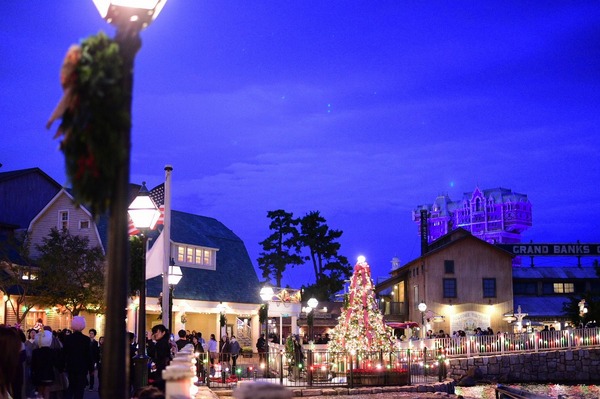ロマンティック過多！夜景さんぽでXmasのシーを満喫(C) Disney