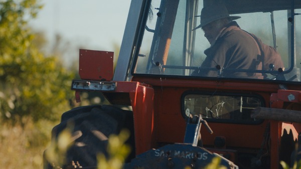 『世界でいちばん貧しい大統領　愛と闘争の男、ホセ・ムヒカ』(C) CAPITAL INTELECTUAL S.A