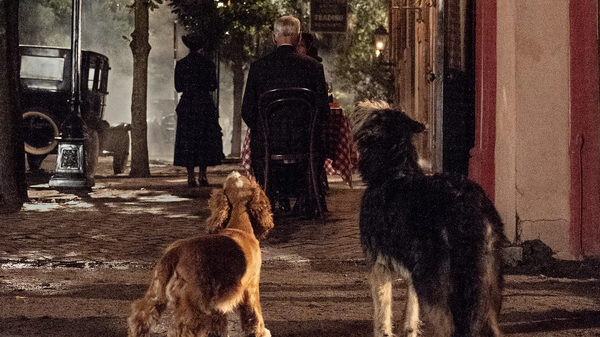 『わんわん物語』（C）2020 Disney