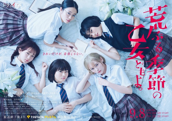 「荒ぶる季節の乙女どもよ。」（C）岡田麿里・絵本奈央、講談社／2020 ドラマ荒乙製作委員会・MBS