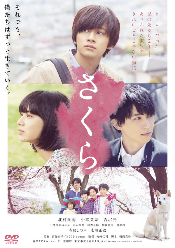 『さくら』DVD　（C）西加奈子/小学館 （C）2020 「さくら」製作委員会