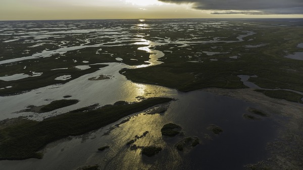 「クジラと海洋生物たちの社会」（C） 2021 NGC Network US, LLC. All rights reserved.