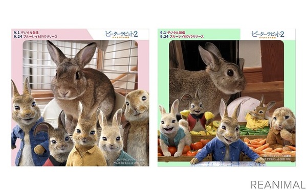 映画SNSキャンペーンのサイトでは、自由にダウンロードできるフォトフレームやぬりえを公開中！