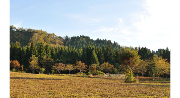 「八海山と千年こうじやの酒と発酵セミナー」