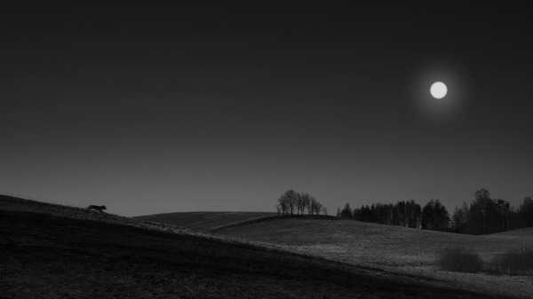 『ノベンバー』（C）Homeless Bob Production,PRPL,Opus Film 2017