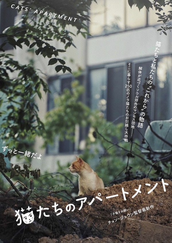 『猫たちのアパートメント』©2020 MOT FILMS All rights reserved.