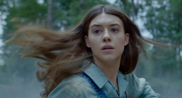 『ザリガニの鳴くところ』