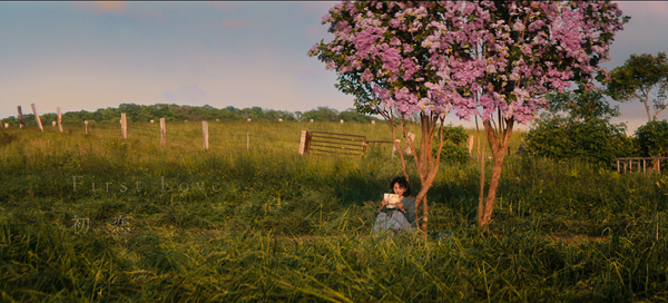 Netflixシリーズ「First Love 初恋」