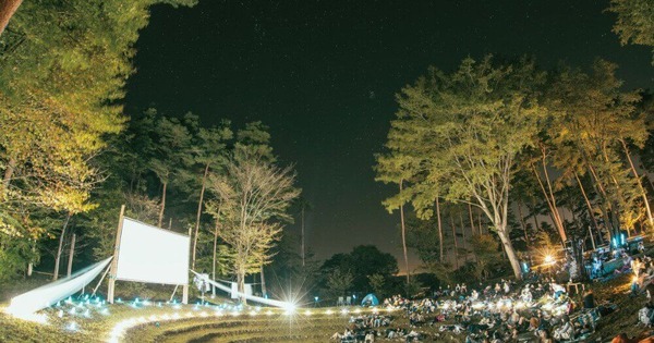 夜空と交差する森の映画祭