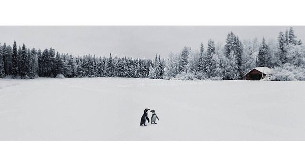 Story36… 2013 Pigment Print 1280x480mm