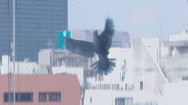 『MONDAYS／このタイムループ、上司に気づかせないと終わらない』　（C）CHOCOLATE Inc.