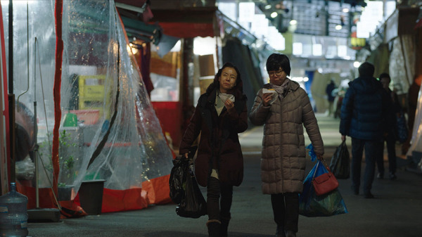 『同じ下着を着るふたりの女』