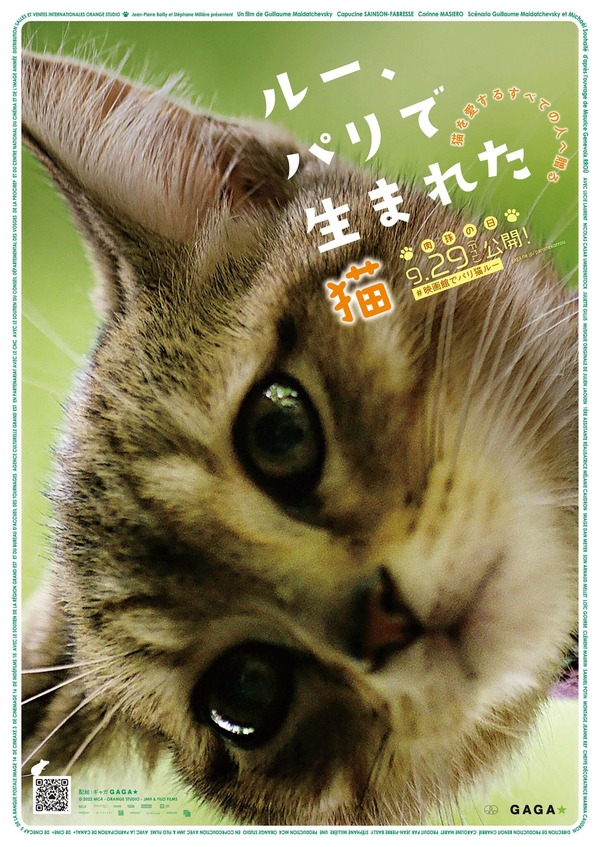 『ルー、パリで生まれた猫』猫チラシ　© 2023 MC4–ORANGE STUDIO–JMH & FILO Films