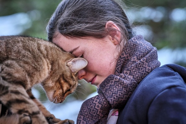 『ルー、パリで生まれた猫』　© 2023 MC4–ORANGE STUDIO–JMH & FILO Films
