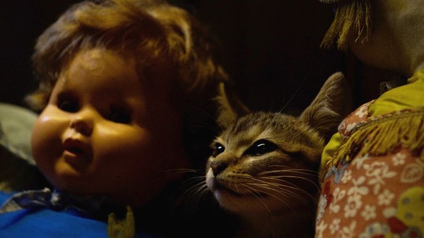 『ルー、パリで生まれた猫』　© 2023 MC4–ORANGE STUDIO–JMH & FILO Films