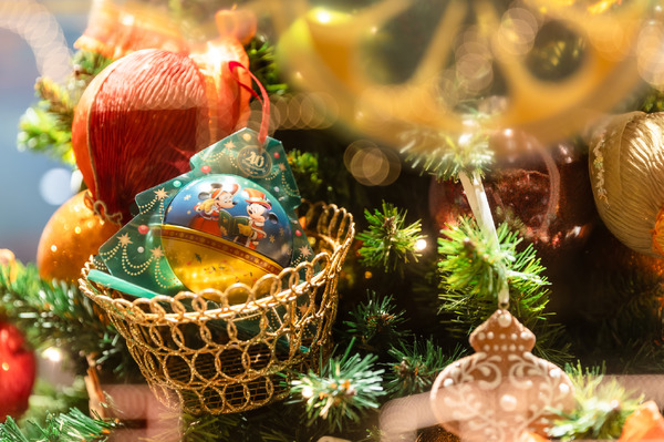 圧倒的にロマンティック！約15メートル、40周年の巨大クリスマスツリーの見逃せない輝き