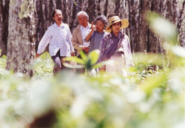 『午後の遺言状』（ｃ）近代映画協会