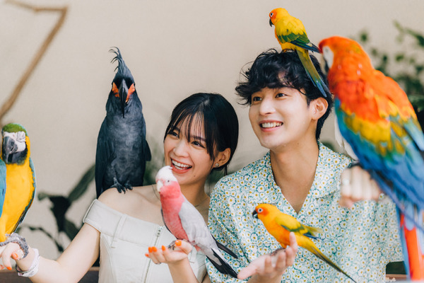 「LOVE CATCHER Japan」