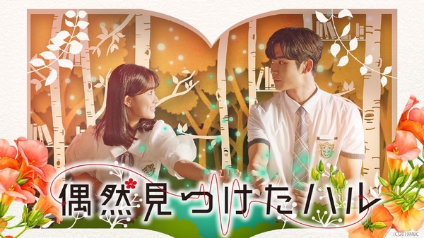 「偶然見つけたハル」