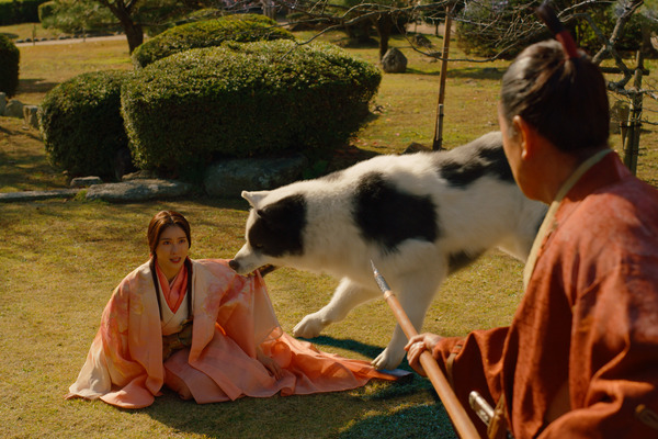 『八犬伝』©2024 『八犬伝』FILM PARTNERS.